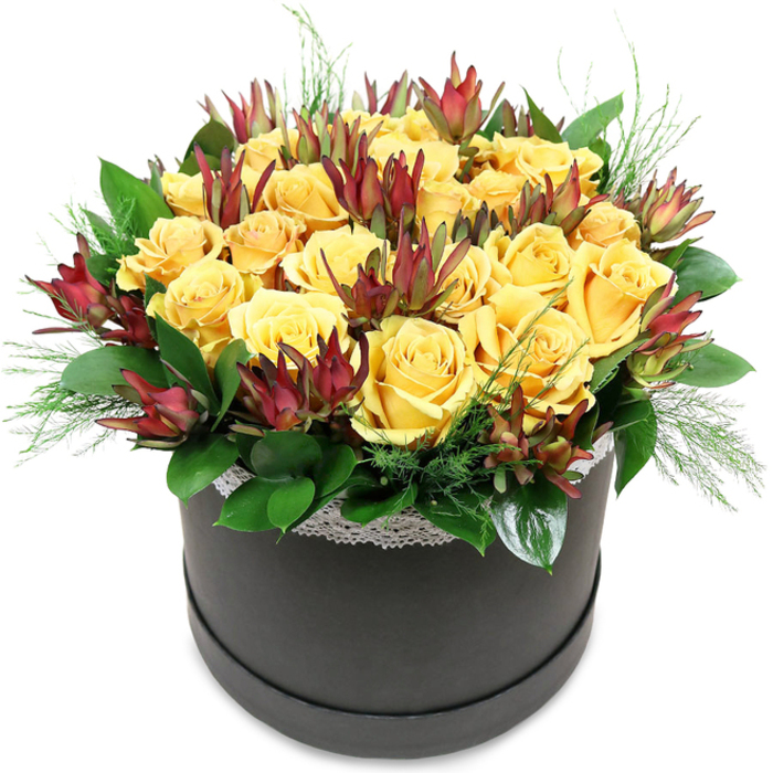 A beautifully balanced flower hatbox arrangement sits centered in the frame, its colours and textures unfolding like a story told slowly, much like a late afternoon stroll through Highgate Village. The base is a round, black or dark charcoal hatbox with smooth, gently sloping sides that catch a few soft highlights. Along the top edge, a delicate ribbon of white lace adds a romantic note, its small, repeating motif providing visual interest without competing with the flowers above. The floral dome that rises from the hatbox is composed primarily of rich yellow roses, approximately two dozen of them arranged so closely that their petals almost overlap, creating a plush, cushion-like surface. Each rose features layers of velvety petals spiralling inward, some blooms fully open and expansive, others partially unfurled, hinting at continued blooming over the coming days. Their colour sits comfortably between lemon and warm gold, evoking sunlight streaming across the lawns of Waterlow Park. Interspersed among the roses are stems of Leucadendron 'Safari Sunset', adding a deliberate contrast. These stems carry elongated, cone-shaped bracts with pointed tips. Their tones shift from deep burgundy and maroon at the outer edges through chestnut and rusty red to muted green at the base, lending the bouquet a sense of depth and seasonal richness. Surrounding the base of the flowers is a ring of glossy, dark green foliage, likely salal or camellia, with broad leaves that arc gently outward. Poking through the gaps and trailing delicately over the rim are wispy strands of light green filler, reminiscent of asparagus fern or fine conifer needles, which soften the outline and bring a touch of gentle movement. Overall, the arrangement feels warm, gracious, and uplifting-a piece a Highgate florist might suggest for birthdays, anniversaries, or as a generous thank-you gesture for a friend on Fitzroy Park.