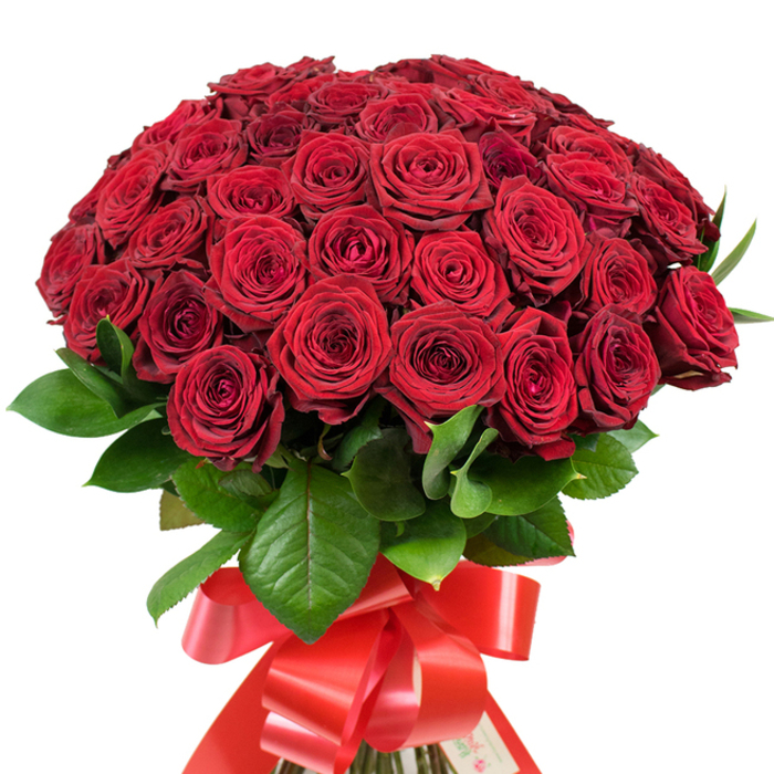 To hold this bouquet is to embrace the spirit of romance as immortalized in Highgate's elegant garden squares: a multitude of stunning red roses, densely packed so that not a glimpse of the white background remains unclaimed. Every bloom is a masterpiece-a maze of smooth, velvet-soft petals spiraling inward, lush and sensuous. Flourishing amidst the passionate reds are glossy dark leaves, shaped and veined with nature's precision, providing structure and contrast. The ample stems are unified at the base with a wide, shimmering ribbon in rich red satin, tied into an expressive bow that moves softly in the light, much like fabric fluttering in Pond Square's breeze. Under diffused daylight, the arrangement radiates both warmth and depth, each flower contributing to a collective aura of celebration and intimacy. This bouquet could mark a lifetime milestone, inspire a proposal on Swain's Lane, or simply convey undying affection to a loved one in Highgate. Every element-color, form, scent imagined in memory-feels chosen with intent, crafting an offering that, while timeless, is deeply rooted in the charm and history of its local surroundings.