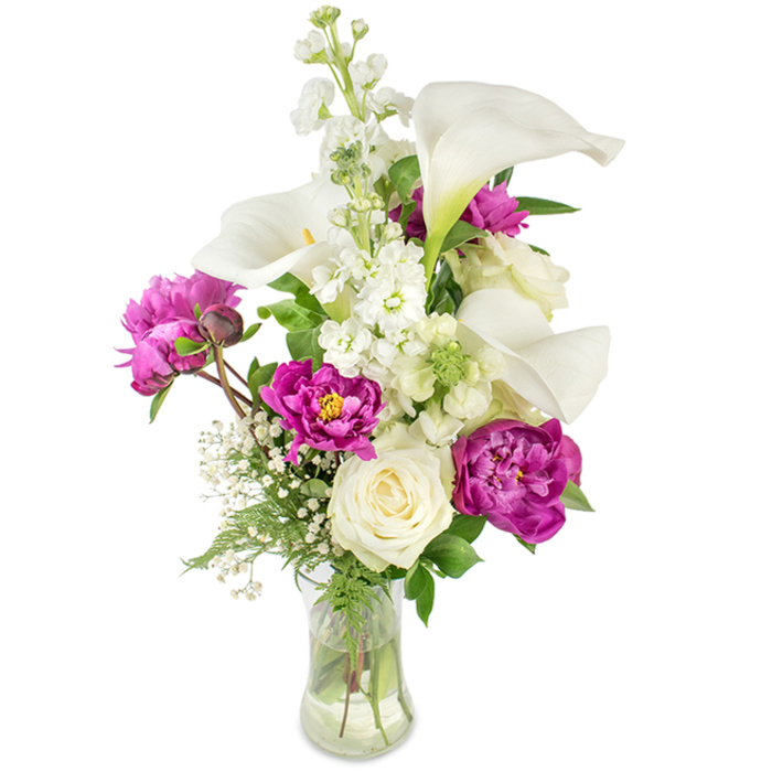 Tall and elegant, this bouquet balances contemporary simplicity with lush garden romance in a clear glass vase that exposes the stems and water, reinforcing a sense of freshness. White calla lilies command the upper lines with their clean, sculptural forms and pale yellow spadices, introducing a modern silhouette that is softened by a soaring column of white stock, its clustered florets adding delicate texture and a gentle vertical rhythm. In contrast, sumptuous magenta peonies bloom in the lower portion: two fully opened flowers display densely ruffled petals that seem to fold into one another, while a tight bud on a visible stem hints at the arrangement's life and ongoing evolution. A solitary creamy white rose sits near the centre, its compact spiral of petals providing a classical anchor among the more exuberant shapes. Fine sprays of baby's breath thread between blooms like a soft,-white veil, and a tapestry of greenery - narrow ferny fronds and larger glossy leaves - frames each element with verdant contrast. The lighting is soft and natural, picking out the velvety texture of peony petals and the sheen of calla surfaces, while a subtle, floral-woody scent seems almost perceptible. Prepared with the sensibility of a Highgate-based florist familiar with Hampstead Heath strolls and village gatherings, this arrangement reads as a tasteful gift for anniversaries, milestone birthdays, or to mark a special achievement.