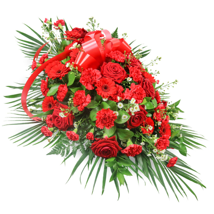 Displayed against a stark white background, this elongated red funeral spray looks poised and composed, as if prepared for a farewell service at a Highgate chapel or a memorial gathering near Waterlow Park. The design flows in a tapered, teardrop shape, dense and opulent through the centre before gradually narrowing towards both ends, creating a sense of movement while remaining balanced and symmetrical. At its heart sits a lavish collection of deep red roses, some still forming tight, perfect buds and others fully opened to unveil layers of velvety petals, each bloom whispering of devotion and long-held memories. Surrounding these are numerous red carnations, their softly frilled petals gathered into plush, generous clusters that add both volume and a comforting texture. Red gerbera daisies, with their striking, open faces and neatly aligned petals encircling darker centres, punctuate the spray and provide a modern, graphic contrast to the classic rose and carnation forms. Scattered delicately among the reds are petite white filler blooms, similar to baby's breath or tiny chrysanthemum sprays, which lend sparkle and gentle contrast, allowing the eye to travel easily across the arrangement. A rich red satin ribbon is tied into a prominent multi-loop bow near the upper portion, the wide, glossy loops and trailing streamers threading through the flowers like a ribbon of remembrance. The entire composition is cradled within a base of luxurious greenery: long palm fronds extend outward in sweeping arcs, while darker, leathery leaves and feathery fern tips weave through the base, adding depth and a formal outline. Crafted with the expertise of a local Highgate florist, this red rose and carnation casket spray feels both powerful and tender, a fitting tribute for families wanting to express deep love, respect and gratitude.