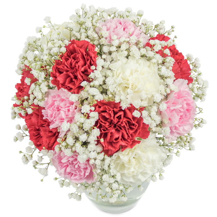 A richly textured, classical floral arrangement composed of three tones of carnations - vivid red, soft blush pink, and creamy ivory - is densely gathered into a nearly spherical bouquet and softened throughout by a generous sprinkling of white baby's breath (Gypsophila). The carnations' layered, ruffled petals create depth and plushness, each bloom catching light differently so the reds read as velvety and dramatic while the paler pinks and whites provide gentle, luminous counterpoints. The baby's breath forms a feathery veil that threads through the composition, adding a cloud-like lightness and fine textural contrast to the fuller heads of the carnations. The bouquet sits in a clear, rounded glass vase whose transparency shows the clustered stems and water at the base, and the image is taken from a slightly elevated, overhead perspective against a clean white backdrop, with bright, even lighting emphasising freshness and colour fidelity. Symbolically elegant and reassuringly familiar, this arrangement is appropriate for occasions that call for love, admiration, or congratulations - from anniversaries and birthday celebrations to a gracious thank-you. Picture it delivered to a Highgate Georgian terrace or placed in a cottage-style kitchen near Highgate Pond, where its colours would lift a neutral interior or echo the blossoms seen on a walk across Hampstead Heath. The overall feeling is one of cultivated generosity, a classic gift that speaks in warm, steady tones rather than loud declarations.