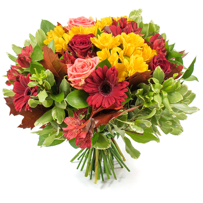 An abundant, round hand-tied bouquet set against a plain white backdrop, composed to celebrate the tactile richness and colour warmth of autumn. Bold, dark-red gerbera daisies anchor the design with their wide, flat petals and dusky centers, while deep, velvety red roses - at stages from tight buds to fully open blossoms - bring a classic, fragrant depth. Scattered throughout are cheerful sprays of bright yellow chrysanthemum-like blooms whose clustered petals add a sunny texture that brightens the composition. Delicate coral-pink roses provide soft highlights between the stronger hues, and slender alstroemeria in red-orange tones, often speckled, introduce graceful, pointed shapes that breathe movement into the arrangement. The florals are set within a generous assortment of foliage: glossy deep green leaves give a saturated backdrop, lighter or variegated greens add air and contrast, and several large, reddish-brown and bronze-toned autumn leaves are woven in as decisive seasonal accents - like fallen leaves collected on a walk from Waterlow Park back to Highgate Hill. The stems are gathered tightly and bound at the base, the fresh green stalks visible and resting on the white surface, denoting a careful hand-tied technique. Bathed in soft, natural light the petals reveal subtle textures and the whole bouquet radiates a comforting, celebratory mood - suitable for a Thanksgiving centrepiece, a birthday in the autumn months, or a warm floral delivery to a neighbour in Highgate Village seeking a simple, seasonal lift.