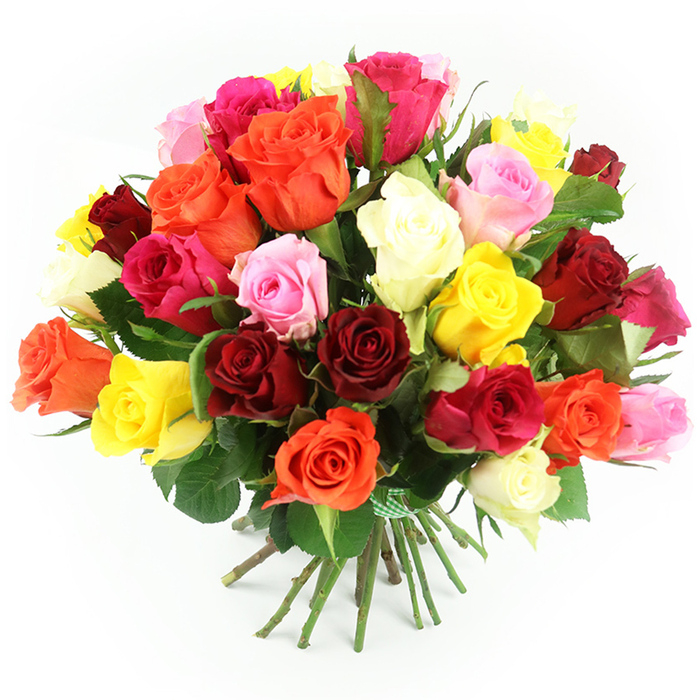 A bountiful dome of roses, arranged in a hand-tied bouquet, fills the centre of the image against a spotless white background, inviting close inspection in the way an eye-catching display window on Highgate's side streets might. The bouquet contains roughly thirty to forty individual roses, gathered into a full, rounded form that looks lush from every side. The colour palette is broad and joyful: deep crimson and rich burgundy roses convey a sense of classic romance, while vivid pinks and fuchsia blooms add a lively, modern twist. Soft pastel pink roses soften the scheme, blending gently into bright, sunny yellows and warmer golden hues that evoke early evening light over Highgate Wood. Tangy, flame-like oranges sit alongside these, contributing a sense of energy and celebration. Here and there, pockets of creamy white or ivory roses provide breathing space for the eye, ensuring the arrangement feels vibrant but never overwhelming. Each rose is captured in a state of ideal openness, with tiered petals that spiral outward and gently curl at the edges, creating a plush, almost cushion-like texture. A few tighter buds are visible at different heights, giving the bouquet depth and the promise of continued blossoming. Between the flowers, dark green foliage is visible, its natural gloss and serrated edges contrasting with the smooth petals and framing the brighter shades. The long stems are drawn together just below the blooms and tied securely with a green and white gingham ribbon, whose simple, homely pattern adds charm and suggests the careful touch of a local florist preparing an order for a home off Archway Road or near Hampstead Heath. The stems flare out gently at the base where they rest on the white surface. Bright, even lighting highlights the true colours and fresh textures, casting soft, unobtrusive shadows and reinforcing the bouquet's sense of generosity, warmth and celebration.