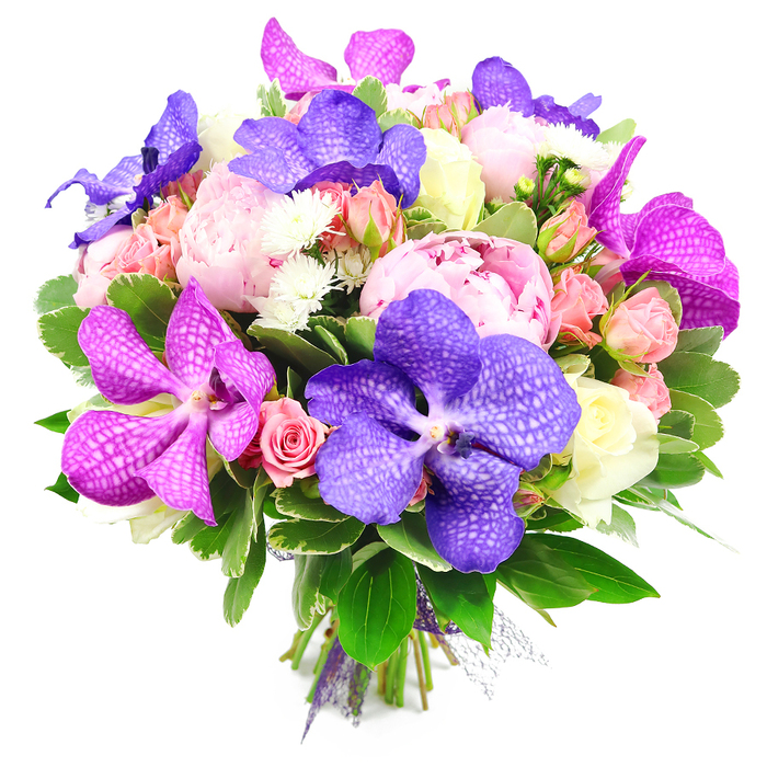Photographed from a slightly elevated perspective against a luminous white background, this bouquet appears lush and full, as if it has just been gathered at the height of bloom from a carefully tended garden. The most commanding presence comes from exotic Vanda orchids scattered throughout the arrangement; some are a deep, velvety indigo purple with intricate speckled markings, while others offer a punch of fuchsia or magenta, each petal broad and luminous. These orchids are interlaced with large, romantic pink peonies, their fully open, multilayered petals creating voluptuous mounds of texture that soften the strong lines of the orchids. Nestled among them are clusters of smaller flowers: delicate light pink spray roses, peachy-pink buds waiting to open, and a few creamy white roses that introduce a quiet, classic contrast. Tiny white filler flowers, similar to miniature chrysanthemums or asters, are tucked between the blooms, filling in gaps and enhancing the intricacy of the composition. The entire bouquet is anchored by a generous collar of greenery, including broad, glossy leaves and perhaps some finer, variegated foliage, giving depth, structure, and a sense of freshness as if these stems had just arrived at a Highgate florist from the morning market. At the base, the stems are neatly gathered and secured with a subtle purple ribbon, bringing a hint of colour and elegance to the handle. The palette of purples, pinks, whites, peaches, and deep greens conveys joy and refined celebration, an ideal floral choice for a birthday brunch near Highgate Woods or an intimate wedding reception in one of the elegant houses off Hampstead Lane.