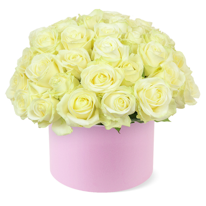 Dozens of roses in creamy white and light ivory tones are gathered with precision into a soft pink hat box, creating a sumptuous dome of blooms that appears both full and flawlessly arranged. Each rose is showcased at its most graceful, with petals unfurling in neat spirals, their velvety surfaces catching the light in gentle highlights and shadows that give the bouquet sculptural depth. The centres of some blossoms display a faint wash of buttery yellow, a sign of their freshness and delicate youth, while a few discreet touches of deep green foliage at the base lend a natural, grounding edge to the otherwise uninterrupted carpet of petals. The cylindrical hat box has a modern, pastel pink finish that looks smooth and matte, suggesting a premium, tactile material similar to high-end gift boxes seen around Highgate's independent shops. Against a clean white background, the entire arrangement stands out with clarity, inviting the eye to linger on the tiny details - the way each bloom nestles into the next, the consistent height that creates the perfect dome, the thoughtful spacing that ensures every rose has room to open fully. The mood is one of gentle luxury and quiet joy, suitable for marking a significant anniversary dinner in a Highgate home with views towards Highgate Wood, or for welcoming a new baby or celebrating a personal milestone. This rose hat box feels like a contemporary floral sculpture, elegant without being ostentatious, and entirely at ease in the refined, residential streets of N6, where classic beauty and modern sensibility often come together in everyday life.