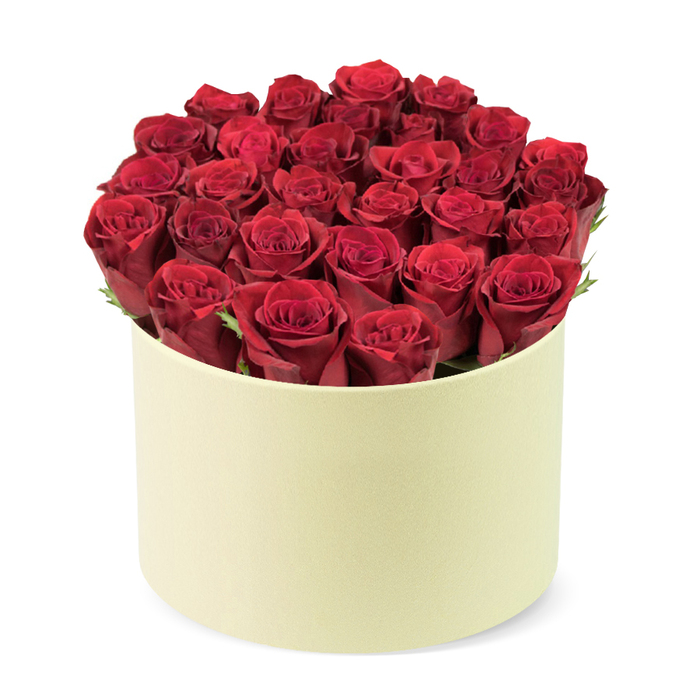 Dozens of deep red roses, velvet to the touch, fill a round, pale cream-colored box, forming a tight, domed head that speaks of abundance and care. Each rose shows a swirl of petals, some just opening, others settled into velvety fullness. A whisper of dark green foliage threads through the heads, providing a fresh counterpoint to the wine-dark petals. The box's matte finish and soft ivory tone create a refined backdrop that lets the colour bloom, a modern twist on classic luxury. The image is captured from a slightly elevated three-quarter angle against a pure white background, centering the arrangement and its circular container. The composition reads as a premium gift, one designed to carry warmth, romance, and lasting impression. In Highgate's leafy lanes, with views toward Hampstead and the Heath beyond, this bouquet makes a decisive statement of love and appreciation. It is equally at home on a celebratory occasion or as a thoughtful gesture that says I'm here for you. The arrangement is designed with durability in mind for delivery, and is suitable for same-day delivery to Highgate, Crouch End, and surrounding communities. It evokes the thrill of romance while offering the assurance of high-quality floristry-crafted by a local team to bring joy, beauty, and a touch of indulgence to the recipient.