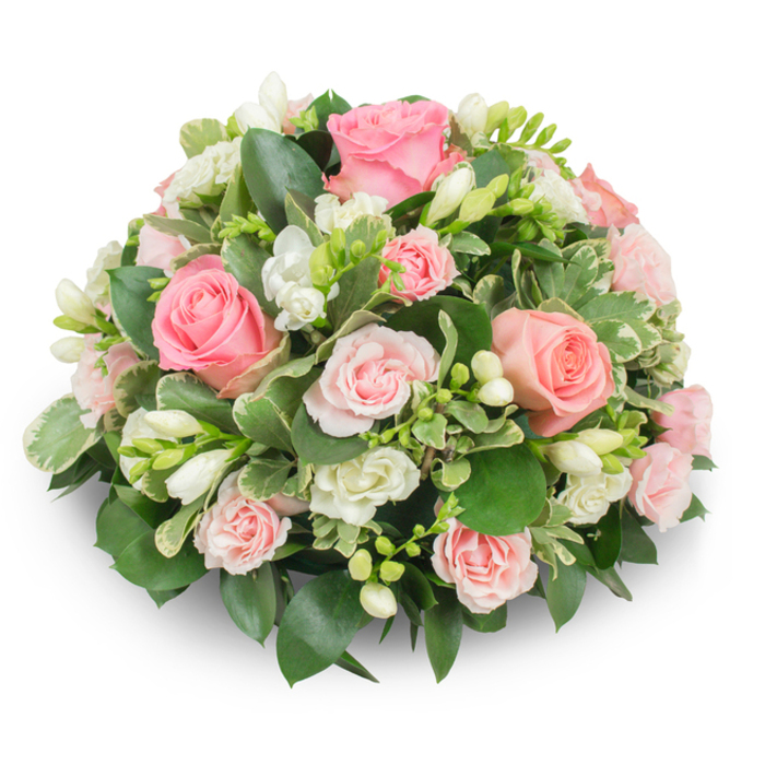 A densely packed, dome-shaped floral tribute in soft pink and white rests against a pure white backdrop, its formal silhouette defined by a careful layering of blooms and foliage. Dominant are classic pink roses, showing a spectrum of tones from pale blush to a warmer coral-pink; some roses are fully open, their velvety petals unfurling in graceful spirals, while others remain tighter, offering a contrast in scale and profile. Nestled between these are clusters of immaculate white freesia, their narrow stems bearing multiple small, bell-like flowers - some fully revealed with tiny yellow stamens, others still in bud, adding upright texture and the suggestion of unfolding life. Smaller spray roses and miniature white blooms fill gaps and create a plush, continuous surface so that no stems are visible, producing an elegant cushion effect. The greenery anchors the composition: deep, glossy leaves such as ruscus create a rich base, while variegated leaves with creamy margins (likely pittosporum or euonymus) provide bright accents and a refined edge. Soft daylight enhances the tactile quality of each petal and leaf, throwing delicate shadows that emphasize the arrangement's rounded form. As a piece suited to moments of remembrance, sympathy, or quiet celebration, it reads as both dignified and comforting. A florist in Highgate might imagine this piece adorning a chapel table near Archway Road or a family home by Highgate Village, where its gentle scents and harmonious colours offer solace and a quiet, respectful beauty.