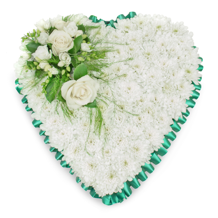 A thoughtfully crafted heart-shaped funeral arrangement is shown resting against a bright, uncluttered white background, ensuring every nuance of the design can be appreciated. The centre of the heart is formed from a compact layer of white chrysanthemums, sometimes known as spray mums, arranged so closely that their overlapping petals create a continuous, textured blanket of white. The surface appears soft and pillowy, evoking calm, purity, and a sense of peaceful farewell. Along the entire outer edge, a vivid emerald green satin ribbon has been meticulously pleated, its ruffled folds creating a scalloped frame that crisply defines the heart. The ribbon's gentle sheen and rich colour enhance the simplicity of the white blooms, adding a note of elegant formality appropriate for a funeral or memorial service. In the upper left section of the heart, a cluster of focal flowers provides visual balance and a tender point of emphasis. Two creamy white roses, fully open, sit at the centre, their layered petals curling outward in refined spirals that speak of enduring love and respect. They are surrounded by smaller white flowers, likely freesias or similar delicate blooms, adding softness and subtle contrast in texture. Deep green foliage in a mix of broad glossy leaves and fine, airy fronds nestles around the roses, with a few pieces trailing gently over the chrysanthemum base to soften the transition between focal cluster and heart. This style of tribute would feel very much at home in Highgate's tranquil settings, whether laid within a church, taken to a service near Highgate Cemetery, or delivered to a local chapel. It offers a dignified, understated way to express sympathy, channeling complex emotions into a serene, heart-shaped symbol of remembrance.