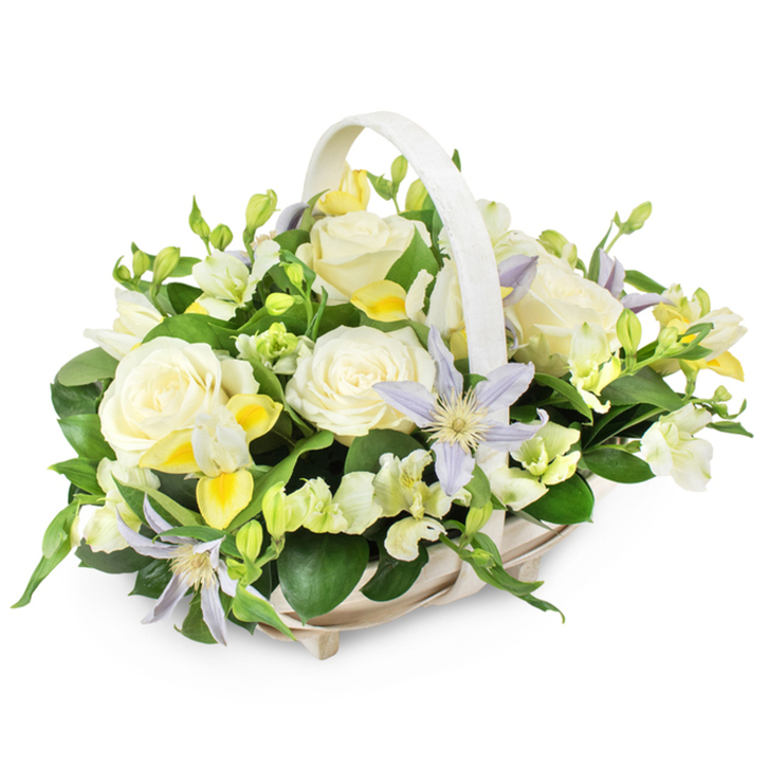 In this photograph, a tastefully composed funeral flower basket rests against a bright white background, allowing its soft colour palette and rich textures to draw the eye. The basket is woven from pale, natural-looking wicker in a light beige or white tone, with a sturdy, matching handle rising over the centre like a gentle arch, giving the arrangement a sense of structure and protection. Inside, the design is full and rounded, with large creamy white roses taking pride of place. Each rose is in full bloom, its layers of velvety petals spread wide, creating serene focal points that speak of love, gratitude, and graceful farewell. Interspersed with these roses are star-shaped clematis blossoms coloured in delicate lavender and pale periwinkle, their slim petals stretching outward around bright yellow-green centres that add a quiet sparkle. Smaller filler flowers in white and soft pastel yellow, reminiscent of freesia and lightly ruffled lisianthus, are scattered between the larger blooms; some appear as tight, promise-filled buds, while others are caught mid-opening, lending a feeling of gentle movement. Surrounding and supporting the flowers is an abundance of glossy dark green foliage, with broad leaves and fine stems that give depth, contrast, and a natural, garden-like softness. The overall impression is one of quiet elegance, as if the arrangement has been lovingly prepared by experienced florists at Flowers Highgate, ready for a funeral or memorial near Highgate Cemetery, a chapel on Swain's Lane, or a family home by Highgate Wood. The combination of white, cream, pale yellow, and lavender conveys a message of sympathy and solace, making this basket a thoughtful tribute for those wishing to express comfort and remembrance in a refined, understated way.