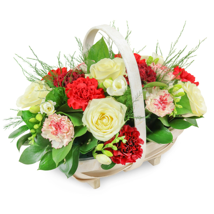Presented against a bright white background, this funeral flower basket appears both gentle and composed, the kind of thoughtful tribute one might see at a quiet service in a Highgate chapel. The container is a light-coloured wooden basket, slender and oval, crafted from narrow vertical slats that curve gracefully to meet a softly arched handle. The handle, finished in a pale, almost creamy tone, adds a refined frame to the arrangement while keeping the focus firmly on the flowers. Small, unobtrusive feet raise the basket slightly off the surface, giving it a sense of poise and stability. The flowers themselves are arranged in a generous, rounded mound that fills the basket completely and rises into a soft dome. At the core are several fully opened creamy white roses, their velvety petals layered in concentric circles that speak of serenity, remembrance, and respect. Nestled among them are clusters of deep red carnations, rich and velvety, their ruffled petals adding depth, movement, and a gentle intensity of colour associated with love and devotion. Softening this contrast are light pink and bi-coloured carnations, their mostly white petals brushed or edged with pink and red, creating subtle patterns that look almost hand-painted. Slender stems bearing small white flowers-likely freesias-thread their way between the larger blooms, the bell-shaped blossoms and unopened buds lending delicacy and a quiet sense of ongoing life. All of this rests on a foundation of greenery: broad, glossy leaves provide structure and a deep green background, while fine, feathery fronds of fern or asparagus foliage emerge around the edges, giving an airy, natural finish. The combination of colours-white, red, and green-echoes the calm of local green spaces like Highgate Wood, and the overall mood is one of dignified sympathy. Crafted with the care expected from Flowers Highgate, this basket offers a graceful way to honour a loved one and comfort bereaved families.