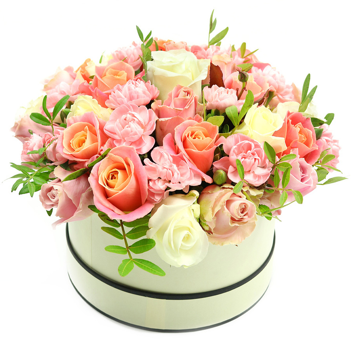 A meticulously composed floral dome emerges from a round, cream hatbox with a matte finish, set against a stark white backdrop that accentuates every shade and curve. The box is subtly edged with two thin dark bands-one along the top rim and one around the base-giving the presentation a tailored, vintage-modern sensibility. From this vessel rises a lush cluster of roses and carnations in a tightly packed, domed formation: the larger roses display a warm inner glow of coral-peach and apricot that gently fades to blush and creamy ivory at their outer petals, while smaller, ruffled light-pink carnations weave between them to add fullness and delicate texture. Slim sprigs of fresh green foliage, each with narrow elongated leaves, are used sparingly to lift the composition and introduce points of contrast that highlight the floral shapes. The surface texture alternates between the smooth, velvety sweep of rose petals and the frilled intricacy of the carnations, creating depth and inviting the hand to linger. Light plays softly across the bouquet, emphasizing gentle colour gradations and the craftsmanship of careful placement-details a florist would attend to when preparing a special gift for a Hampstead Heath picnic or a quiet anniversary dinner near Highgate Cemetery. The subtle, powdery scent of the flowers and the arrangement's refined silhouette make it appropriate for intimate celebrations, Mother's Day, or a luxurious thank-you, conveying affection and considered attention in equal measure.