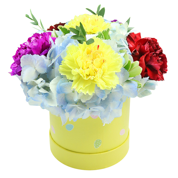 A meticulously composed round flower box captured slightly from above, the arrangement designed to read equally well in person or in a photograph: two plump, ruffled yellow carnations occupy the heart of the dome, their lemon tones vivid against a neutral background and their layered petals soft to the touch. They are enveloped by generous clusters of periwinkle-blue hydrangea whose many small florets form a dreamy, cushion-like base in cool blue and faint white highlights. To the left, a strong magenta carnation provides a bright focal point, its saturated hue lively and playful; on the right a velvety burgundy-red carnation balances the visual weight with a richer, warmer register. Narrow sprays of fresh green foliage punctuate the bouquet, offering contrast, movement and a subtle herbal note you can almost sense. The container is a smooth, cylindrical hatbox in a pale lemon-yellow, playfully scattered with soft pastel polka dots and small egg-shaped motifs in light blue, blush and mint green-details that suggest spring occasions such as Easter, new baby celebrations or cheerful birthday gifts. The interplay of textures-the hydrangeas' clustered fluff, the carnations' crinkled ruffles and the sleek paperboard-creates depth and an inviting tactile palette. As a local Highgate floral design, I imagine this boxed bouquet being chosen for its compact elegance: easy to carry from Archway Road into the village, suitable for a bedside table or small dining nook, and especially fitting as a thoughtful token to lift someone's spirits or mark a gentle celebration in homes around Highgate and nearby Hampstead.