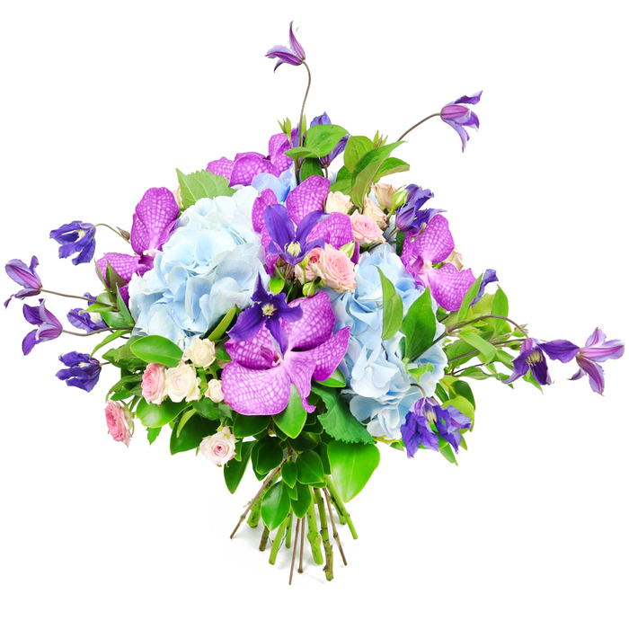 This image features an opulent, hand-tied bouquet styled against a bright white background, where every colour, curve, and petal detail stands out with clarity. In the centre of the arrangement sit generous, rounded clusters of pale sky-blue hydrangeas, their many tiny, overlapping petals forming soft, cushiony domes that evoke hazy summer clouds drifting above Highgate Wood. Wrapping through and around these hydrangeas are striking orchids in rich fuchsia and deep purple, probably Vanda or Phalaenopsis varieties, whose broad petals display delicate speckling and fine veining, adding a touch of exotic drama. From the elevated line of the bouquet, elegant stems of deep purple clematis rise and arc outward, their star-like or bell-shaped blooms creating gentle, rhythmic movement that suggests the relaxed, natural growth of a climbing vine along a brick wall near Highgate Village. Scattered thoughtfully throughout are miniature roses in soft blush pink and warm cream, their compact blooms and layered petals offering a sense of intimacy and classical romance, as if plucked from a cherished cottage garden. Supporting and surrounding the blossoms is a wealth of lush green foliage, including broad, polished leaves and finer stems that frame the composition, deepen the colour contrasts, and lend the arrangement a lively freshness. At the base, the flower stems are aligned and tied securely into a tidy bundle, showing the careful craftsmanship of a professional florist used to preparing special deliveries across Highgate and nearby Muswell Hill. Overall, the bouquet communicates understated luxury and tenderness, ideal for occasions ranging from engagement celebrations to thoughtful sympathy gestures, or simply as a refined gift to bring serenity and colour into a Highgate home.