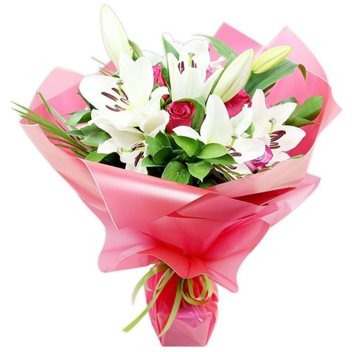 A carefully arranged bouquet of pristine white lilies and deep red roses is set against a clean white background, allowing every nuance of colour and craftsmanship to show, much like a display piece in a Highgate florist's window. The central feature is a cluster of large, white Oriental lilies, their expansive, trumpet-shaped blooms spreading open with a soft, sculptural grace. Each petal is a pure, bright white, with subtle curves and gentle ripples at the edges that catch the light, leading the eye toward the flower's centre where dark reddish-brown anthers and delicate pistils create a dramatic focal point. Some lilies are fully unfurled, while others hover at the threshold of blooming, their buds a soft blend of creamy white and pale green, closed but clearly full of life. Interwoven between these lilies are deep red roses, mostly in tight bud or partially opened state, their velvety petals forming spirals of rich crimson that bring a romantic contrast. Surrounding the blooms is a generous collar of lush greenery, including broad, glossy leaves that catch soft reflections and slender, grass-like blades that arc gracefully, introducing a sense of height and organic movement akin to the foliage seen in the gardens overlooking Highgate Wood. The bouquet is wrapped in voluminous, shiny bright pink cellophane or floral paper, carefully gathered into soft, ruffled folds that extend beyond the flowers, giving the arrangement a celebratory, gift-ready character. At the base, a delicate lime green ribbon is tied snugly around the stems, forming a simple knot with trailing ends that add a bright, fresh accent. Crafted with an eye for balance and emotion, this bouquet would be equally at home as a surprise birthday delivery in Highgate, a Mother's Day gesture, or a refined token of deep appreciation.