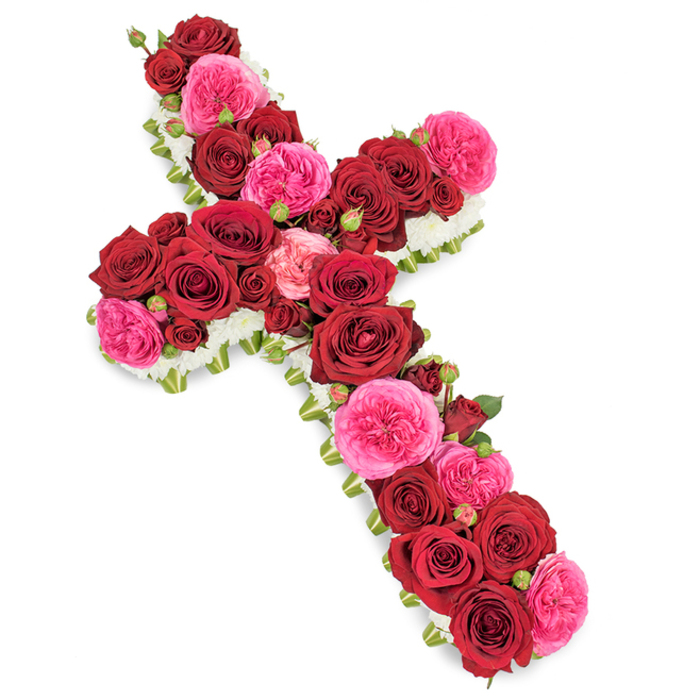 A solemn yet beautifully uplifting floral cross is shown against a plain white background, crafted with a level of care and precision that reflects the work of experienced local florists serving families in Highgate. The cross shape is completely concealed beneath an abundance of roses, so that all the viewer sees is a dense mosaic of petals and colour. Deep, velvety red roses provide the foundation, layered tightly along the length of the vertical bar and across the horizontal arms. Each bloom is fully open, revealing concentric rings of soft petals that create a plush, almost quilted effect, symbolising deep love, devotion, and respect. Woven amongst these are vibrant fuchsia pink roses or garden roses, whose slightly looser, more ruffled petals bring a gentle energy and warmth, softening the strong reds without diminishing their emotional weight. Small rosebuds in both red and pink hues are nestled in the gaps, lending texture and a feeling of growth and ongoing remembrance. The perimeter of the cross is meticulously edged with tiny white blossoms-delicate chrysanthemums or spray carnations-that form a fine, cloudlike border. This white trim sharpens the outline of the cross, making the sacred form clear even from a distance and adding a sense of purity and peace. Flecks of fresh green foliage and perhaps slender ribbon strands can be glimpsed at the very edge, helping define the silhouette and giving the arrangement a polished, professional finish typical of tributes created for services near Highgate Cemetery or the local parish churches. The lighting is soft and balanced, emphasising the rich colour contrasts and the subtle textures of each flower. Overall, the piece conveys a message of consolation, faith, and enduring love, making it an appropriate and comforting funeral or memorial tribute.