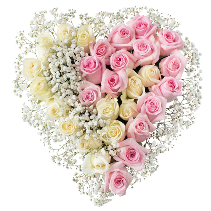 A large, meticulously arranged heart of roses fills the centre of this photograph, its refined form set against a clean white background that enhances the tribute's serene character. The heart is elegantly split into two vertical halves, each shaped and filled with roses so precisely that the design appears almost sculpted. On the left-hand side, clusters of creamy white to very soft yellow roses nestle together closely, their petals opening just enough to reveal delicate, swirling centres. The overall effect is soothing and understated, suggestive of purity, peace, and fond remembrance. On the right-hand side, the same careful density is recreated using medium pink roses. Their colour is gentle but distinct, adding emotional warmth and a sense of tender affection, much like the quiet corners of Highgate Village or the peaceful paths nearby Highgate Wood. The spiralling arrangement of the petals introduces subtle shadows and highlights, giving the heart a three-dimensional quality. Flowing throughout both colour blocks and framing the outer edges is an airy layer of white gypsophila. The baby's breath sits lightly above and between the roses, creating a soft border that resembles fine lace or mist, and helping to transition the eye from cream to pink. No greenery, ribbons, or additional elements are visible, allowing the piece to remain dignified and uncluttered. It is easy to imagine this heart-shaped tribute being crafted by Flowers Highgate for a local funeral, thoughtfully delivered to a nearby chapel or crematorium as a heartfelt symbol of love, loss, and cherished memories.