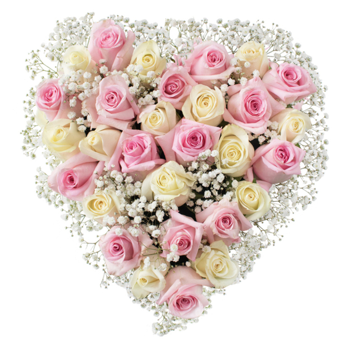 At the heart of this Highgate tribute is a lush, heart-shaped arrangement, assembled with the practiced eye of a seasoned local florist. Around 35 blush pink and cream roses, with some petals tinged by hints of soft yellow, are grouped to achieve a dense, tactile fullness. The roses flow seamlessly from one to the next, each at a slightly different stage of bloom, symbolising many layers of affection and remembrance. Baby's breath-its minute, starry-white blossoms appearing almost translucent in the soft light-intersperses between the larger flowers, lending weightless elegance and ensuring every inch of the heart remains light and inviting. The arrangement's lines are crisp yet delicate, the definition further sharpened by the pristine white background, allowing both colour and form to become the focal points. True to the Highgate floristry tradition, this bouquet is a heartfelt, sophisticated gesture, perfectly suited to expressing sympathy or honouring a loved one at a funeral or memorial gathering, perhaps close to Waterlow Park or Swain's Lane.