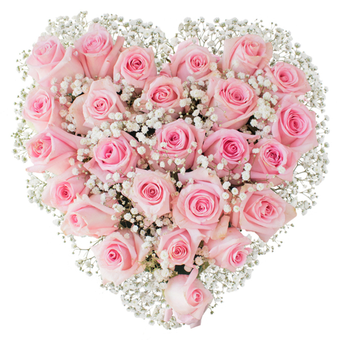 A meticulously arranged heart of roses, densely packed and photographed against a stark white background, presents a study in soft pinks and airy whites. Each rose is selected for its velvety petal structure and subtle variation in hue-some a delicate shell-pink, others a warmer rose-so the heart appears alive with gentle tonal shifts. The blooms are arranged tightly enough that their round forms press together to create an almost sculptural surface, while clusters of white gypsophila are threaded through the composition like fine lace, their tiny blooms brightening pockets of shadow and defining the heart's perimeter. The overall texture is lush and tactile: the smooth, satiny petals contrasted with the feathery, cloud-like gypsophila give the arrangement both weight and lift.
Viewed through the lens, the bright, neutral lighting highlights dew-fresh edges and the careful symmetry of the design, evoking the quiet care of a shop on Highgate Hill or an arrangement destined for a family gathering near Highgate Cemetery or a reception beside Hampstead Heath. This bouquet speaks to occasions that call for sincere beauty-weddings that favour understated elegance, anniversaries marked with enduring affection, or sympathy tributes that aim for gentle dignity. The visual statement is one of restrained romance and thoughtful craftsmanship, the sort of composition a seasoned neighbourhood florist would create when the brief asks for tenderness expressed simply and well.