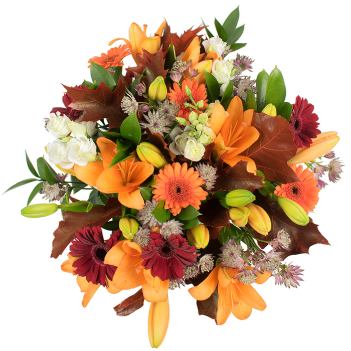 A lush, elevated view of a richly textured autumn bouquet, photographed on stark white so the warm palette commands attention. Several large orange Asiatic lilies take centre stage, their trumpet forms fully open and revealing delicate stamen and petal veining, while clusters of green-tinted and pale orange lily buds add layered depth and the promise of continued bloom. Bright orange gerberas and deep burgundy-red gerberas punctuate the mass with bold circular shapes, each petal arranged like rays of late-summer sun around darker centres. Interspersed are soft, creamy white Lisianthus blooms-petals gently ruffled and layered-that temper the arrangement with a tender whisper. Fine, spiky clusters of Astrantia in muted mauve and lavender thread through the bouquet, contributing a subtle, starry texture against the larger blooms. Prominent, broad leaves in chestnut and deep reddish-brown-resembling fallen oak or maple-lend a true autumnal signature, their lobed silhouettes and textured surfaces adding sculptural interest. Fresh green foliage, narrow stems, and occasional slender grasses underpin the composition and keep it lively and natural. The lighting is bright and clear, highlighting surface textures and the fresh, slightly dewy character of the stems. As an arrangement I might prepare at Flowers Highgate for delivery across Highgate Village, Dartmouth Park, or to a nearby home by Highgate Cemetery, it feels celebratory and grounding-a perfect centrepiece for Thanksgiving, a harvest table, or a heartfelt gift that brings the warmth of the season indoors.