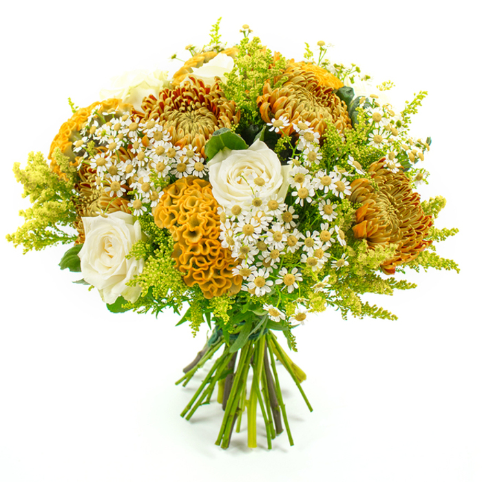 A richly textured autumn bouquet is presented upright against a pure white background, its warm colours and shapes evoking the quiet elegance of Highgate's tree-lined streets in late afternoon light. Dominating the composition are generous chrysanthemums in shades of golden amber, bright marigold, and deep, earthy rust, their fine, spiky petals radiating outward to form plush, rounded blooms that anchor the design. Weaving between them are distinctive yellow-orange celosia blooms, their cockscomb forms folding into velvety, coral-like ridges that add an almost sculptural dimension to the arrangement. Creamy white roses, placed thoughtfully throughout, provide a soft, luminous contrast, their gently unfurling petals conveying a sense of calm and understated romance. Light, frothy clusters of tiny white daisies, likely matricaria, with cheerful yellow centres, appear in pockets across the bouquet, introducing a playful, garden-picked charm that keeps the mix from feeling too formal. Around the outer edge, an abundance of fresh green foliage and feathery lime-green solidago create a luminous frame, their varied leaves and delicate plumes lending movement, depth, and a hint of woodland freshness reminiscent of nearby Highgate Wood or the paths around Parliament Hill. At the base, the natural stems are drawn neatly together and wrapped in green florist's tape, underscoring the bouquet's hand-tied, artisan feel. Crisp, even lighting ensures that every texture-from the velvety celosia to the ruffled chrysanthemums-is visible, as if the bouquet has just been prepared for same-day delivery to a home off Highgate High Street, ready to brighten a living room, mark a birthday, or offer a warm, seasonal gesture of appreciation.