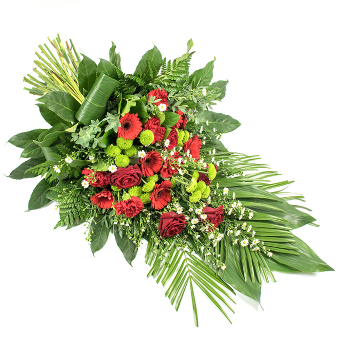 This photograph shows a long, tapered funeral or casket spray placed against a clean white background, its silhouette forming a graceful, elongated teardrop that moves the viewer's gaze gently from left to right. At its centre lies a concentrated cluster of deep red blooms that seem to glow with quiet intensity: lush roses with velvety petals in deep crimson, bold red gerbera daisies with dark, defined centres, and smaller red carnations with gently frilled edges. These red flowers are interwoven with clusters of vivid lime green button chrysanthemums, their small, rounded flower heads adding a playful yet elegant contrast, giving the arrangement a modern character without sacrificing its solemn tone. Throughout the spray, delicate white filler flowers-perhaps tiny daisies or matricaria-peek through the foliage, adding a soft, cloud-like lightness that balances the rich colours. The floral display is supported by a generous foundation of greenery: broad, glossy dark green leaves, likely salal, provide a substantial backdrop, while fine, feathery ferns lend texture and a sense of depth. At the lower right, slender palm-like leaves extend outward in a fan, echoing the organic arc of the design and suggesting gentle movement, as if stirred by a breeze along Highgate Hill. At the upper left, a tidy bundle of tall, straight green stems and upright leaves reaches upward, with one broad leaf wrapped around their base to introduce a structured, almost architectural detail. Crafted with the sensitivity of a florist serving the Highgate community-from quiet services near St. Joseph's Church to gatherings around Waterlow Park-this sophisticated tribute pairs traditional red and white symbolism with fresh green highlights, conveying remembrance, respect, and heartfelt sympathy.