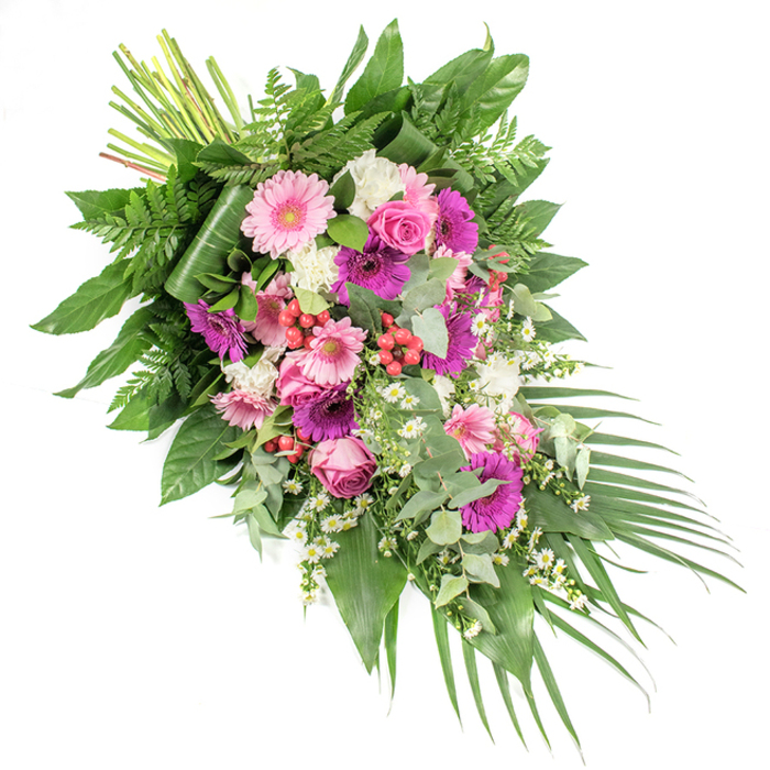 A richly detailed funeral spray, arranged on a diagonal axis, stands out clearly against a stark white background, capturing both elegance and tenderness in one composition. The stems are gathered neatly at the upper left, then fan out into a generous spread of flowers and foliage before tapering down towards the lower right, where long, slender palm leaves sweep gracefully outward. Within the central section of the tribute, several large gerbera daisies bloom in shades of pale pastel pink and deeper fuchsia or magenta, their circular shapes and radiating petals offering a sense of openness and warmth. Interspersed with these are refined pink roses, their tightly coiled centres and velvety petals suggesting a quiet, enduring love. Soft white ruffled flowers-likely carnations or dianthus-are sprinkled among the pink blooms, creating a gentle, cloud-like texture and an uplifting contrast. Tiny white daisy-style flowers, similar to chamomile or Matricaria, add a light, airy rhythm as they weave amongst the larger blossoms. Scattered bright red hypericum berries, small and bead-like, introduce rich, berry-toned accents and a natural woodland feel. The foliage backdrop is lush: feathery green ferns add movement and fill; broad, glossy dark leaves anchor the structure; and rounded eucalyptus leaves in silvery-green tones bring a cool, refined note and hint at a fresh fragrance. Soft, even lighting reveals the subtle sheen on leaves and the velvety surfaces of petals, creating delicate shadows that add depth. This tribute would sit beautifully in a Highgate church or crematorium chapel, its colours and forms conveying sympathy, serenity, and heartfelt remembrance. It feels like the work of an experienced local florist, thoughtfully crafted to honour a life with grace and quiet beauty.