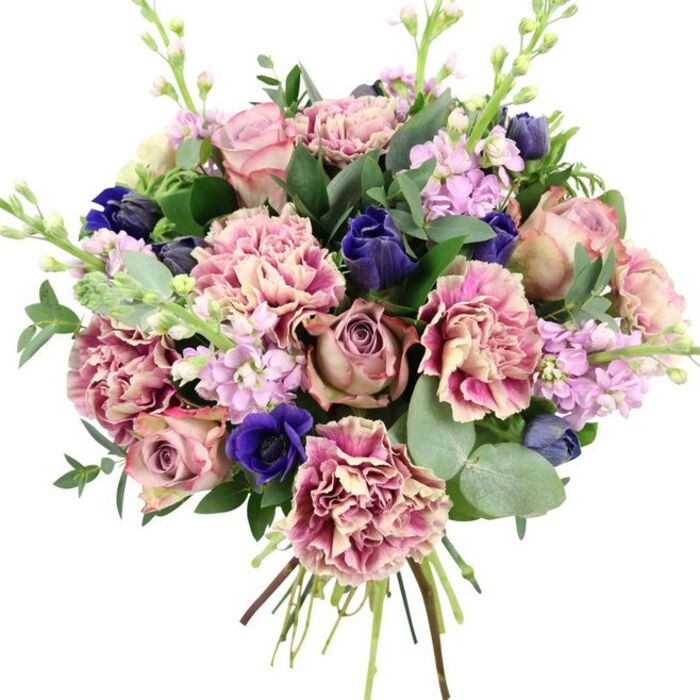 Captured against a simple white background, this hand-tied bouquet showcases an elegant mix of colour and texture that feels perfectly suited to a Highgate townhouse or a cosy flat near the village. At the centre, full, cupped garden roses in blush pink, dusty mauve, and antique rose tones open in generous, layered spirals, giving the arrangement a soft, romantic focal point. Around them, numerous ruffled carnations echo the same palette, their petals fading from creamy beige and gentle blush at the core to deeper rose and fuchsia at the edges, adding abundant volume and a sense of movement. Deep indigo and royal blue elements provide a striking counterpoint: tight tulip-like buds sit alongside a standout blue anemone with a dark, velvety centre, which anchors the colour scheme and introduces a more dramatic note. Rising above and between the main blooms, delicate stalks of lilac and pale lavender stock carry dense clusters of small flowers, bringing a vertical, airy lightness and alluding to a subtle, sweet fragrance. The bouquet is finished with rich green foliage-broad, glossy leaves and rounded, silvery eucalyptus-that frames the flowers and suggests a cool, aromatic freshness when handled. At the bottom, the gathered stems are clearly visible, showing the clean, hand-tied craftsmanship ready for delivery from Flowers Highgate. One can imagine this bouquet being carried along Highgate High Street or delivered to a home near Hampstead Heath, bringing a sense of refined celebration to an anniversary, an intimate dinner party, or a thoughtful get-well gesture.