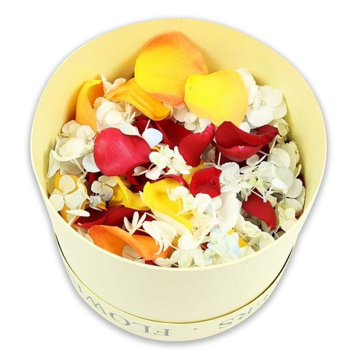 The image captures a single, elegant hatbox in a soft, cream-yellow shade, positioned against an immaculate white backdrop that creates a sense of stillness and contemplation. The cylindrical box appears sturdy, reminiscent of traditional hatboxes, and near the upper edge a faint inscription-likely spelling FLOWERS-can be seen, its subtlety ensuring that the focus remains on the botanicals within. From a slightly overhead viewpoint, the box's interior is completely filled with dried petals and small florets, arranged so densely that they rise slightly above the rim. The eye is first drawn to the deep crimson rose petals, which form the foundation of the composition; their velvety surfaces and gently curled edges add depth and a sense of tactile richness. Threaded amongst them are brighter yellow petals and soft, peach-orange tones, creating a gentle gradient of colour that feels warm and inviting, much like the quiet streets and leafy corners around Highgate Cemetery on a mild day. Resting delicately over this base are clusters of minute white blossoms that resemble dried hydrangea, their tiny, papery petals giving a feather-light texture. In a few places, a whisper of very pale blue appears, almost like a shadow of colour, offering a cool counterpoint to the surrounding warmth. The petals look carefully preserved, edges intact, suggesting professional handling and an intention to create a beautiful, natural scattering mix. The white background isolates the arrangement so every nuance of colour, curve, and texture can be appreciated. This floral composition evokes a sense of gentle remembrance, ideal for use as funeral petal confetti or to adorn a memory table at a Highgate service, where every petal can symbolise a cherished farewell.