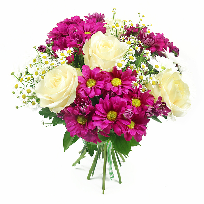 This image presents a rich, mixed bouquet of fresh flowers, displayed against a pristine white background that allows the colours and textures to stand out without distraction. At the centre are several large, fully opened roses, their petals a creamy off-white that gradually shifts toward a warm, pale yellow in the spiralling centres. The roses' velvety surfaces catch the light subtly, suggesting softness to the touch and lending an air of classic romance to the arrangement. Surrounding and weaving between the roses is an abundant gathering of chrysanthemums in vivid fuchsia-magenta tones. Each chrysanthemum head is composed of many fine, slightly ruffled petals arranged around a lively yellow-green centre, creating a strong visual contrast that feels both cheerful and refined. Some smaller buds in deeper purple-pink shades are tucked between the open blooms, giving the bouquet layered depth and the sense that it will continue to unfold over time. Interspersed delicately among the larger flowers are sprigs of tiny white daisies, similar to chamomile or Matricaria, with slim white petals and neat yellow centres. These petite blossoms bring a light, airy quality, echoing the informal charm of gardens and green corners around Highgate and nearby Muswell Hill. A generous halo of green foliage frames the bouquet, the mix of glossy rose leaves and broader chrysanthemum greens adding volume, structure, and a natural, garden-picked character. The stems of all the flowers are drawn tightly together at the base, trimmed evenly, and wrapped in a green and white checked ribbon tied in a practical yet charming bow, suggesting a gift-ready arrangement crafted with care rather than haste. The lighting is bright and even, casting only the softest of shadows, which emphasises the freshness and clarity of each bloom. Overall, the bouquet conveys joy, warmth, and appreciation, ideal for celebrations, thank-you gifts, or simply bringing a bright touch of floral colour into a Highgate living room.