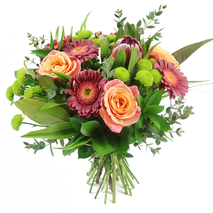 This image shows a beautifully composed, hand-tied bouquet set against a simple white background, the kind of arrangement you might see being prepared in a Highgate florist just off the High Street. At the centre, several large roses open luxuriously, their petals shifting through gentle tones of peach, coral, and salmon pink, with some blooms featuring lighter, almost ivory outer edges that deepen gradually into warm, sunset-orange hearts. These are interwoven with striking gerbera daisies in shades of deep fuchsia and rich burgundy, their numerous, slender petals radiating out from textured centres that reveal subtle rings of lighter pink, adding visual depth and a hint of cheerful drama. Drawing the eye upward, a distinctive King Protea sits slightly off-centre, its robust, bract-like petals in muted maroon and mauve-pink forming a sculptural cup, giving the overall design an exotic, almost botanical-garden feel, not unlike a rare specimen you might discover on a quiet walk through nearby Queen's Wood. Threaded throughout the bouquet are clusters of bright lime-green Santini chrysanthemums, their compact, button-like heads creating playful dots of vivid colour that enliven the warmer hues. A rich selection of foliage forms the foundation: broad, glossy leaves anchor the base; tall, sword-like blades lend height and structure; and delicate eucalyptus sprigs with rounded, bluish-green leaves add a soft, airy touch. The stems are neatly gathered and tied at the bottom, showcasing a classic hand-tied style ready to be placed in a favourite vase. With its blend of warm roses, bold gerberas, and fresh green accents, this bouquet feels perfect for marking special occasions, housewarmings, or heartfelt thank-yous, especially for flower delivery across Highgate and neighbouring Muswell Hill.