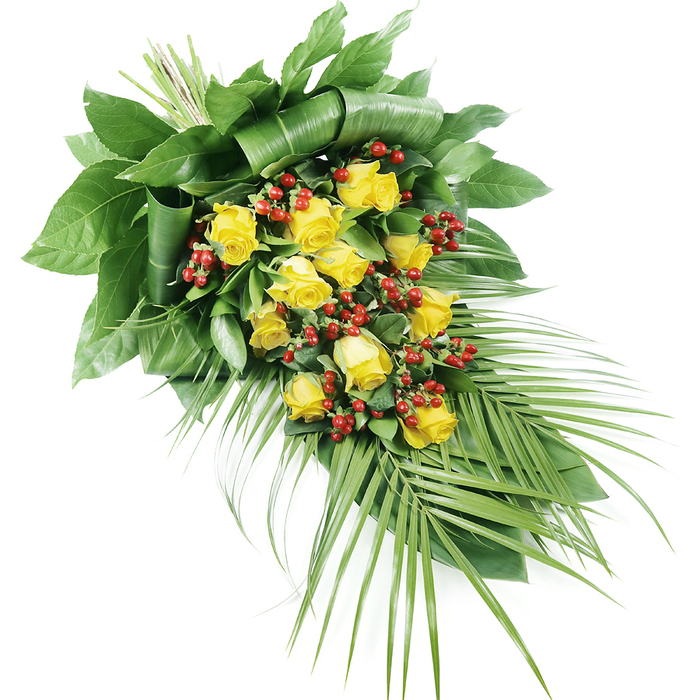An elegant sympathy spray featuring yellow roses, red berries, and lush greenery is shown in full against a spotless white background, its shape gently tapering as it runs from the left-hand top to the right-hand base. The upper left area is dense with roses-around fifteen to twenty bright yellow blooms-arranged so that their heads nestle closely together. Some flowers are still emerging from tight buds, petals just beginning to part, while others are wide open, displaying concentric layers that create soft, cushion-like forms. Among the roses, clusters of small, bright red Hypericum berries are threaded, providing flashes of rich colour and a rounded, bead-like texture that contrasts beautifully with the petals. Surrounding this focal section is a generous collar of foliage. At the top left, broad dark green leaves are meticulously folded, layered, and slightly curved to form a robust framework, lending a sense of structure and refinement that recalls the carefully kept gardens around Highgate's quiet residential streets. From the lower right, long, slender palm-like fronds and other narrow leaves sweep outward, their fine, pointed leaflets reaching into space and adding a sense of movement and flow, almost as if the spray is gently cascading. The stems are bound together firmly and hidden beneath the foliage, demonstrating the skill and finish of professional floristry often found at Flowers Highgate. Soft, balanced lighting highlights the velvety texture of the rose petals, the gleam of the berries, and the subtle sheen on each leaf, while the white background ensures the colours remain pure and vivid. The overall impression is one of serene dignity and warmth, making this piece a suitable choice for funeral services, memorial gatherings, or moments of private reflection across Highgate and nearby Crouch End and Muswell Hill.