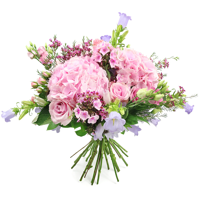 A lavish bouquet of soft pink and lavender flowers is captured against a plain white background, every detail standing out as though the arrangement has just been finished on a workbench at Flowers Highgate. Dominating the display are two substantial heads of blush pink hydrangea, their tightly packed clusters of small, rounded petals creating large, cushion-like shapes that feel plush and almost cloud-soft. Interspersed between these hydrangeas are light pink roses, each one carefully placed: some are fully open, revealing generous spirals of velvety petals, while others remain as elegant buds, their tips just starting to part and hint at the beauty within. Rising from the core and edges of the bouquet, delicate stems of bell-shaped flowers in gentle shades of lavender and lilac introduce height, movement, and a loose, airy quality, reminiscent of wildflower borders along quiet lanes leading down toward Archway. Threaded throughout are smaller groups of fine-textured filler blossoms in fuchsia and stronger deep pinks, their tiny, clustered petals adding intricate detail and rich colour accents that punctuate the softer pastel tones. A generous halo of fresh greenery encircles and supports the blooms, combining broader, glossy leaves with more slender, feathery sprigs that lend the design a sense of natural flow and gentle rhythm. At the bottom, a neat bundle of visible stems is tied securely, emphasising that this is a hand-tied bouquet ready to be set in a favourite vase or presented as a heartfelt gift. The overall impression is one of refined joy and understated romance, perfectly suited to celebrations, thank-you gestures, or simply brightening a Highgate living room with a touch of seasonal colour and fragrance.