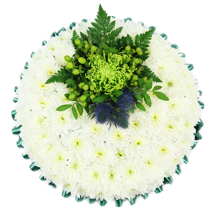A beautifully composed circular funeral cushion sits against a bright white background, captured from directly above to reveal every nuance of its structure. The majority of the design is formed from tightly packed white chrysanthemums, their small blooms fitted together so closely that the surface appears seamless and luxuriously soft. Each flower's petals are fine and plentiful, creating a plush texture that resembles a padded fabric cushion rather than individual stems. The centres of the chrysanthemums are tinged with pale green, creating a gentle speckling across the otherwise pure white field. Around the edge, a lush emerald green satin ribbon has been expertly pleated into a scalloped border, adding definition and a sense of careful craftsmanship that local Highgate mourners often look for in a final tribute. At the upper portion of the circle sits a striking, asymmetrical cluster of green and blue-toned flowers and foliage. A vivid lime spider chrysanthemum, with long, curling petals, forms the central highlight. Surrounding it are clusters of apple-green Hypericum berries, their smooth, rounded shapes contrasting with the fine petals around them. Fern fronds arc outward with a light, feathery texture, supported by other deep green leaves that layer in behind to build depth. Rising proudly from this cluster are two Scottish thistles, their rounded, spiky heads in muted blue-purple tones offering both dramatic contrast and a quiet nod to Scottish ancestry or personal memories of the Highlands. The overall effect is tranquil yet distinctive, making this cushion an ideal floral tribute for a funeral at Highgate Cemetery, local churches, or crematorium services, where families seek a calm, respectful arrangement with a meaningful touch of individuality.