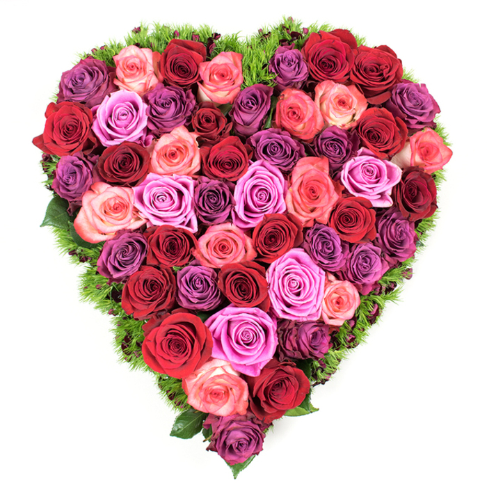 This overhead view reveals a heart-shaped floral creation crafted from a lavish assembly of roses, each bloom at its prime and arranged so tightly the heart appears as a single textured surface of petals. The colour journey across the arrangement is deliberate and sumptuous: deep scarlet and burgundy roses provide a passionate foundation, while softer blush and coral tones gently transition into vivid fuchsia accents and a spectrum of purples-lavender, mauve and deeper plum-that add depth and subtle contrast. The petals' velvety surfaces catch a soft, even light, highlighting the gentle spirals at the centre of each flower and the slightly ruffled petal edges that create tactile richness. Encircling the heart, a slim border of dark green, fern-like foliage-fine, springy and slightly glossy-frames and defines the shape, its verdant whisper of texture lending a sense of renewal to the composition. The workmanship is precise: roses placed to honour the heart's symmetry and to allow colour to flow with an artist's rhythm, producing an effect both ornate and restrained. The piece reads emotionally as well as visually-suitable for declarations of love on Valentine's Day or anniversaries, offering solace in times of grief, or standing as an elegant floral testament at a memorial service. A local florist might note that this design harmonises with the calm dignity of nearby Highgate Cemetery and the quiet charm of Highgate Hill, making it a familiar and comforting sight for residents and visitors alike.