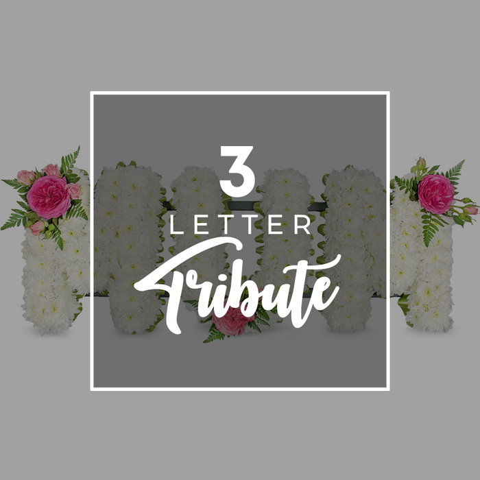 A softly lit, thoughtfully designed funeral tribute is displayed against a pale grey backdrop, creating a tranquil setting where every flower and curve can be clearly imagined. In the centre sits a white rectangular frame, within which three bold floral letters spell the word MOM, standing tall and close together. Each letter is constructed from many small white chrysanthemums, their tiny star-shaped florets overlapping so densely that they form a smooth, even blanket of bloom, conveying purity, respect, and a quiet softness that suits a mother's remembrance. The first M carries a carefully placed spray of fuchsia pink rose and paler pink rosebuds, nestled into the upper left shoulder of the letter. Fine, feathery fern leaves arch gracefully around the roses, their fresh green tones offering contrast and a sense of living greenery among the white. The O, more modestly decorated, features a single pale pink rose at its base, like a solitary token laid down by a loved one. The second M repeats the floral motif at its upper right, with matching fuchsia rose, pink buds, and fern, creating a balanced symmetry that feels thoughtful and composed. Overlaid on top of the tribute, framed by the white rectangle, is prominent white text reading 3 LETTER in a clean, modern typeface, with Tribute below in stylish script, clearly describing the type of arrangement pictured. At the very edges, the partial forms of other chrysanthemum letters with pink rose accents can be glimpsed, suggesting further personalised words or names that families in Highgate might commission for funerals, cremations, or memorials near local green spaces such as Hampstead Heath. The image carries a tender, feminine energy, echoing the love, gratitude, and memories held for a cherished mother.