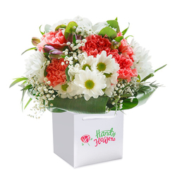 Bathed in soft, ambient light, an opulent bouquet of carnations, daisies, and baby's breath emerges from a crisp white gift bag, conjuring images of Highgate's timeless charm. The supremely textured petals of peach and vibrant red carnations invite you in, each one unfolding with warmth and depth. Nestled among them, pure white daisies with bright yellow-green centers lend a cheerful brightness, their simple beauty reminiscent of spring mornings along Highgate Wood. Airy clouds of delicate gypsophila weave between the blooms, softening the ensemble, while a few purple-blushed buds gently hint at the season's quiet transitions. Encircling the arrangement, rich green, glossy leaves fan out elegantly, forming a reassuring cradle that bolsters the bouquet's abundant form. The carefully designed gift bag is topped with satin ribbon handles, signifying the readiness for a joyful presentation-perhaps after an afternoon spent exploring Swain's Lane or attending a celebration at Lauderdale House. The entire arrangement, set off against a pristine white background, highlights the artists' attention to freshness and composition. Crafted for both everyday surprises and life's milestones, this bouquet reflects the thoughtful artistry and personal touch of skilled florists serving the vibrant Highgate community.