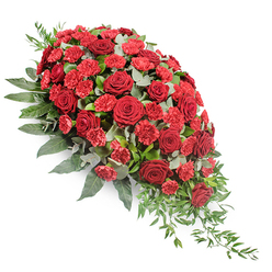 An elongated, cascading funeral arrangement in intense red tones is displayed on a crisp white background, its teardrop shape flowing naturally from a lush, rounded top at the upper left to a refined, pointed end at the lower right. The central section is tightly filled with dark red roses, their velvety petals spiralling inward in refined, traditional blooms, and with red carnations whose ruffled petals create small, textured bursts of colour. Together, they form a richly layered field of crimson, each flower slightly overlapping the next, evoking deep love, gratitude, and remembrance. Around this core of blooms, abundant greenery provides a serene counterpoint. Dark green leaves lend structure and weight, outlining the spray and drawing the eye along its curved form, while soft, silvery eucalyptus and slender, trailing stems of lighter foliage add variation and movement. These trailing greens, particularly at the lowered tip, seem to drift gently, as though caught in a quiet breeze from Waterlow Park or the tree-lined streets of Highgate Village. The simple white background keeps all focus on the interplay of colour and form, allowing the subtle shifts from the darkest rose petals to the brighter carnation tones and the varied greens to be fully appreciated. There is a sense of poise and calm to the piece, as though it has been composed for a thoughtful farewell in one of Highgate's chapels or crematoria. This classic condolence spray feels both traditional and personal, a carefully designed floral tribute offering comfort and a visual embrace to those gathering to say a final goodbye.