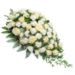 Displayed against a clean, uncluttered white background, this refined funeral spray in white and green forms a flowing crescent, full at the left and delicately tapering to a fine point on the right. At first glance, the eye is drawn to the generous scatter of white and pale cream roses, their petals unfurling in graceful spirals. Some blooms are just opening, still cupped and shy, while others are fully expanded, showing intricate layers that catch the soft ambient light. Nestled among them, clusters of frilly white carnations fill any spaces with a textured, cloud-like softness, creating a feeling of comfort and quiet care. Underpinning the flowers is a bed of lush foliage. Deep green leaves lie close to the stems, creating a solid base, while dusty, silvery eucalyptus leaves are tucked here and there, cooling the palette. From the spray's tapered end, long, slender fronds of ruscus or similar greenery extend downwards, adding a sense of gentle movement that echoes the slopes and tree-lined paths around Highgate Cemetery. The image emphasizes the careful craftsmanship and balance of the arrangement rather than any background distractions, reflecting the kind of thoughtful work a local Highgate florist would prepare for a funeral in the area. The overall mood is one of gentle reverence and composure, making this design suitable for resting atop a casket, standing beside a memorial photograph, or adorning the front of a chapel. Its pure white flowers and fresh green foliage together convey peace, remembrance, and a heartfelt tribute when spoken words fall short.