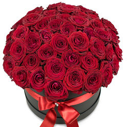 A lush and romantic bouquet of velvety red roses appears to spill generously from the confines of a sleek, matte black hat box, its bold hues alive against a bright, white setting. Each individual bloom, packed tightly in a harmonious dome, seems carefully selected by a seasoned Highgate florist-local to Waterlow Park and Swain's Lane-demonstrating both fresh vitality and lush sophistication. The smooth, velvety texture of the rose petals invites both sight and imaginings of touch, while the interplay of soft natural light and gentle shadow brings out every undulating curve. Wrapping the arrangement's base, a wide red satin ribbon shines with understated glamour, tied into a perfect bow at the box's front with a small, sparkling embellishment-a hint of festivity and grace. This floral showpiece is more than just a romantic gift; it's a statement of love or admiration, a thoughtful presence for premium flower delivery across Highgate. The sense of generosity, elegance, and deep affection resonates, making it perfect for anniversaries, grand romantic gestures, or celebrating milestones in North London.