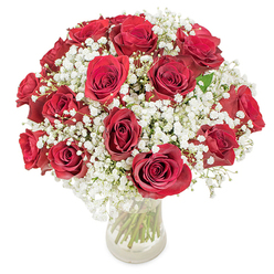 Carefully arranged in a clear glass vase against a pristine white background, this bouquet features roughly eighteen to twenty rich red roses, each with velvety, open petals forming sumptuous crimson spirals, surrounded by froths of white gypsophila that soften and lift the overall composition. The baby's breath fills the gaps like drifting clouds, their myriad tiny blossoms lending a delicate, lace-like texture that offsets the bold weight of the roses. Through the glass the long green stems show-clean-cut, hydrated, and neatly gathered-bringing a sense of honest naturalness to the design. In the bright even light every petal edge is visible, and the subtle scent of roses mixes with the faint, sweet-green aroma of the gypsophila, creating a warm, inviting olfactory impression. The arrangement reads as classic romance with modern restraint: compact, rounded, and elegant, equally suited to a candlelit anniversary in a Highgate terrace or as a refined surprise for a friend returning from a walk across Hampstead Heath. As a floral studio in the neighbourhood, Flowers Highgate crafts this style for locals who favour timeless expression over flamboyance; its tactile contrast-the lush, velvet rose faces against the whisper-light baby's breath-feels like a tender, considered embrace. The bouquet communicates devotion, celebration, and comfort in a single, harmonious silhouette, a visual poem that holds up well on a mantelpiece, beside a breakfast tray, or at the centre of a quiet, heartfelt gathering near Highgate Pond.