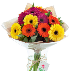 Capturing the unique blend of sophistication and village charm that defines Highgate, this bouquet of Gerbera daisies glows with warmth and exuberance. Displayed in a fine clear glass vase, the hand-tied arrangement pairs vibrant yellows, sunlit oranges, and velvety fuchsia blooms, each anchored by a dramatic dark center. Glossy, textured green leaves entwine the flowers, their rich colour reminiscent of the lush vegetation in Highgate Wood throughout spring and summer. The bouquet is encased first in a layer of artfully rumpled kraft paper, adding an earthy tone, then enveloped in gleaming clear cellophane for a contemporary finish. Visible through the water-filled vase, the stems appear strong and freshly cut. Around the stems, a neat twist of brown twine, attached to a minimalist white tag featuring a stylized floral motif, hints at the considered touch of a professional local florist. The white, uncluttered background casts the flowers in a gentle radiance, while the interplay of light and shadow creates a sense of movement and vitality-a celebration of nature's palette and the artisanal skills found along Highgate's bustling high street. This arrangement is perfect for thoughtful deliveries, commemorating special events, or adorning homes with a splash of seasonal colour.