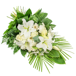 Displayed against a bright white background, this elongated sympathy spray combines pure white blooms and lush greenery in a way that feels both traditional and subtly modern, well suited to a thoughtful funeral service in Highgate. The arrangement is designed to be viewed from the front, with its floral heart concentrated toward the upper left and its greenery tapering gracefully toward the lower right. At its centre, stately white Oriental lilies sit proudly, their wide, flared petals gently cupped and slightly recurved at the tips. The inner throats of the lilies hold delicate yellow-green stamens, adding just a whisper of colour to the otherwise pristine palette. Rising among them are smooth, tapered buds that have yet to open, suggesting a continuation of beauty in the days ahead. Surrounding the lilies are plush white roses, some still tightly furled, others with petals beginning to unfold in layered spirals, alongside soft, ruffled white carnations that give the spray a cosy, comforting volume. Daisy-like white gerberas or similar blooms, each with clean petals and small, warm-toned centres, punctuate the arrangement with a simple, graphic charm. Fine white filler flowers, like gypsophila, are tucked between the larger heads, leaving no harsh gaps and lending a gentle, cloud-like haze. The flowers are framed by a generous collar of greenery: broad, glossy leaves, feathery ferns, and round, slightly dusty eucalyptus foliage. At the top, slender leaves are folded and bundled into a neat, sculptural accent, while at the lower right, a fan of long palm fronds extends, creating a flowing, directional line. The result is a serene and dignified tribute that mirrors the tranquil character of Highgate's tree-lined streets and quiet garden squares.