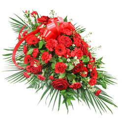A sophisticated red casket spray is photographed on a simple white background, showcasing its graceful, tapered silhouette and rich palette of flowers and foliage. The central section is packed with deep red roses, each one a study in velvety texture, from tightly furled buds to fully open blooms whose layered petals reveal intricate spirals. Clustered around them are plentiful red carnations, their finely frilled edges giving a soft, plush appearance that makes the arrangement feel generous and embracing. Among these, flat-faced red gerbera daisies stand out with their wide, evenly spaced petals and darker eyes, providing clean lines and a contemporary accent to this traditional sympathy design. Tiny white filler flowers, resembling baby's breath or miniature chrysanthemums, are threaded through the spray, creating small bursts of brightness that lift the overall composition and help define each bloom. The arrangement is shaped into a gentle teardrop, more expansive in the middle and tapering off at the ends, making it well-suited to rest atop a coffin or as a main tribute displayed at a Highgate funeral home. Near the top, a wide red satin ribbon is fashioned into a full, multi-looped bow, its glossy surface catching the light, while long ribbon tails stream gracefully down through the flowers. The blooms emerge from a base of carefully layered greenery: long palm fronds extend outward in an elegant fan, while darker, denser leaves and fine fern-like fronds fill gaps and add depth. The overall effect is dignified and expressive, the kind of red rose and carnation funeral spray families in Highgate, Crouch End or Muswell Hill might choose when they wish to convey profound love, respect and enduring memory.