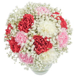 Arranged with the attentive hand of a neighbourhood florist, this lush posy of carnations and baby's breath reads as both joyful and intimately familiar. Rounded clusters of full, ruffled carnations - rich scarlet, soft petal-pink, and creamy white - are packed closely together so their layered textures form a voluminous, nearly spherical crown. Between and around them, countless miniature white flowers of gypsophila float like a delicate mist, tempering the intensity of the reds and lending the whole composition an airy, romantic silhouette. Shot from a slightly elevated, top-down angle on a stark white background, the clear, rounded glass vase reveals the green stems and water beneath, providing a simple, transparent base for the floral artistry above. The bright, diffuse lighting sculpts the petals and throws soft, natural highlights across the ruffles, conveying freshness and meticulous handling. This bouquet suggests sentiments of love, gratitude, or celebration - an ideal present for Mother's Day, Valentine's Day, birthdays, or a thoughtful thank-you - and it's the sort of arrangement customers ask for when they want timeless appeal with a touch of Highgate warmth. Locals can picture it on a windowsill facing Highgate Village, or resting beside a well-loved book after an afternoon in Waterlow Park. As Flowers Highgate would arrange it, this composition balances traditional beauty with understated elegance, inviting quiet admiration wherever it is placed.