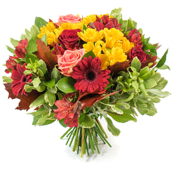A lush, expertly hand-tied autumn bouquet photographed on a crisp white background, designed to evoke the warmth of late October in Highgate Village. The arrangement is densely packed and rounded, dominated by deep crimson gerbera daisies with their broad petals framing darker centers, and rich burgundy-red roses, some unfurling into velvety layers while others remain tight and elegant. Bright yellow spray chrysanthemums are generously scattered throughout, their multi-petaled heads adding a sunny, textured contrast that lifts the deeper tones. Coral-pink roses introduce a soft, romantic whisper among the bolder reds, while slender red-and-orange alstroemeria contribute intricate stripes and star-shaped forms that animate the bouquet. A generous mix of foliage - glossy dark green leaves for structure and lighter, almost variegated greenery for depth - cushions the blooms, and several large, bronze-tinged autumn leaves, reminiscent of oak or maple, are carefully placed to underscore the fall theme and add a rustic, natural edge. The stems are neatly gathered and tied at the base, the fresh green stalks visible where the hand-tied bouquet rests. In a gentle morning light the petals seem to glow and the arrangement gives off a restrained, leafy scent that suggests harvest celebrations or a Thanksgiving table. Prepared with local care by Flowers Highgate, this composition makes a thoughtful seasonal gift or centrepiece for homes around Highgate and nearby Hampstead Heath, and is ideal for delivering a touch of autumnal comfort.