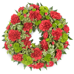 A full, circular sympathy wreath is shown floating against a bright white background, its rich reds and lively greens standing out clearly, as though ready for delivery to a quiet Highgate funeral service or memorial gathering. The wreath is densely covered with flowers, creating a continuous ring of colour. Deep red carnations form the backbone of the design; their many ruffled petals overlap in soft, velvety layers, lending a sense of warmth and tenderness. Some carnations are fully open and expansive, while others are tighter, giving the arrangement a natural, almost breathing rhythm. Nestled among them are lime green button chrysanthemums, neat domes of numerous tiny florets that bring a textured, almost moss-like freshness to the composition. The contrast between the crimson and lime green is striking yet harmonious, balancing sorrow with a gentle suggestion of renewal. The flowers rest on a bed of greenery that frames the circle: dark, feathery fern fronds radiate outward, creating depth, while variegated pittosporum leaves with creamy margins wind between blooms, adding light, soft edges, and a subtle pattern that catches the eye much like the patchwork of gardens along Highgate's quiet side streets. A decorative ribbon or leaf braid in alternating green stripes weaves through the lower section of the wreath in relaxed loops, echoing the natural colours of nearby Hampstead Heath. The soft, even lighting produces a faint shadow beneath the wreath, giving it subtle lift and presence. This composition feels both formal and deeply personal, suitable for honouring a loved one with a thoughtful floral tribute that reflects the calm, reflective character of Highgate.