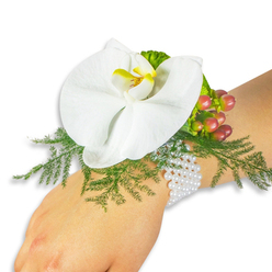 Nestled against a pale wrist and set before a simple white backdrop, this corsage reads like a small story of contrast and quiet charm. The central element is a pristine white Phalaenopsis orchid, its broad petals unfolding with a cool satin sheen while the throat blooms with a soft yellow that deepens to a warm, orange-tinged centre-a discreet focal point that draws the eye inward. Surrounding the orchid, delicate asparagus fern fronds weave a soft, airy texture, their fine, feathered edges catching the light and lending a sense of effortless movement. At the upper right of the bloom a tight cluster of Hypericum berries adds seasonal punctuation: tiny spheres that shift from pale green to blushing rose and finally to a deep crimson, their glossy skins reflecting light like small baubles. The arrangement is anchored to the wrist with a classic multi-strand bracelet of small white pearls; their subtle sheen and cool weight against the skin lend an heirloom sensibility that balances the modern simplicity of the orchid. The overall mood is refined and romantic-soft daylight reveals the orchid's smoothness, the fern's lace-like detail and the berries' polished roundness-evoking the hush of a quiet celebration. As a local florist familiar with Highgate and the paths of Hampstead Heath, I picture this corsage carried to a wedding at a nearby chapel or to a prom night on a crisp spring evening, offering a discreet, elegant accent to a special occasion.