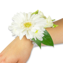 A delicate, white floral wrist corsage is elegantly displayed on a light-toned forearm against a clean studio white backdrop, arranged with the restraint and care of a seasoned florist. At its heart sits a vibrant white Gerbera daisy, broad petals layered like fine silk radiating from a bright yellow-green centre that gives the bloom a lively, sunlit anchor. Soft, smaller white chrysanthemum clusters and cream lisianthus buds are tucked around the Gerbera in a way that creates gentle depth and movement, as if the flowers are leaning into one another. Rich, green Ruscus leaves provide a crisp counterpoint; their elongated shapes fan beneath the blossoms and trace a subtle line down the wrist, adding structure and a cool textural contrast. The flowers are fastened to a refined bracelet of multiple white pearl strands that catch the light with a faint, warm sheen and rest comfortably against the skin, suggesting vintage romance and secure craftsmanship. You can almost sense the light, grassy fragrance and the slight dew found on fresh petals, and you can imagine this piece arriving ready to wear for a prom, a wedding rehearsal, or the first steps after graduation. Prepared with attention to balance and durability, the corsage balances presence and restraint, a wearable keepsake that would feel at home in the hands of someone strolling from Highgate Village toward Hampstead Heath on a bright spring morning.