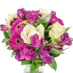 Carefully arranged on a pristine white surface, this vibrant bouquet reads as both joyful and refined, a combination I often create for neighbourhood clients around Highgate and Archway. The arrangement's focal points are several bold magenta Gerbera daisies-each with tightly packed, fuchsia-tinted petals that radiate from a darker, textured centre-delivering an immediate sense of cheer. Nestled among them are creamy white roses whose layered, velvety petals unfurl in a classic, romantic spiral, offering contrast and a soft, warm perfume that balances the gerberas' punch. Sprays of deep purple Alstroemeria (Peruvian lilies) thread through the composition, their trumpet-shaped blooms and subtle speckled markings introducing a delicate, exotic detail and gentle movement. Lush greenery-a mix of broad leaves and slim, architectural foliage-wraps the stems and sculpts the bouquet into a full, rounded form, allowing light to create a play of shadow across the petals. A subtle hint of a clear glass vase appears at the base, grounding the blooms against the white backdrop and making the colours sing. The overall impression is fresh, meticulously crafted and inviting: ideal for congratulatory gifts, anniversary surprises or a thoughtful pick-me-up delivered locally. As a florist at Flowers Highgate, I choose blooms like these for their immediate visual impact and reliable longevity, and I often recommend this palette for clients wanting vibrant colour that still feels elegant in a Highgate sitting room or a Hampstead Heath picnic.
