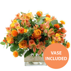 A radiant bouquet of orange and yellow blooms takes centre stage against a spotless white background, allowing every nuance of colour and texture to stand out clearly. At the core of the arrangement, plush orange roses unfurl in generous spirals, some with petals that fade toward a mellow yellow heart, reminiscent of the soft evening light over Highgate Village rooftops. Alongside them sit rounded yellow garden roses, their tightly packed petals forming rosette-like shapes that suggest comfort, luxury, and quiet celebration. Threaded throughout are stems of peach and light orange alstroemeria, or Peruvian lilies, their slim petals adorned with fine streaks and speckles that lend a sense of delicate movement, as if gently stirred by the breeze from Waterlow Park. Nestled between the softer shapes are clusters of small, spiky, spherical orange flowers, similar to safflower or thistle blooms, adding lively texture and a touch of contemporary flair. All of this colour and form is anchored by lush greenery: broad eucalyptus leaves with a silvery cast mingle with darker foliage, creating a layered, almost cascading effect that frames the warmer hues. The bouquet is arranged in a clear, square glass vase, the straight edges and visible water giving a clean, modern feel that contrasts beautifully with the organic shapes above. Around the centre of the vase, a wrap of pale beige burlap or jute adds a handcrafted, rustic note-just the sort of detail you might notice in a carefully styled Highgate home. In the bottom right corner of the photo, a bold circular orange badge displays the words "VASE INCLUDED" in white capital letters, making it instantly clear that this is a complete, ready-to-display gift, perfect for birthdays, congratulations, or brightening a windowsill with a burst of Highgate charm.